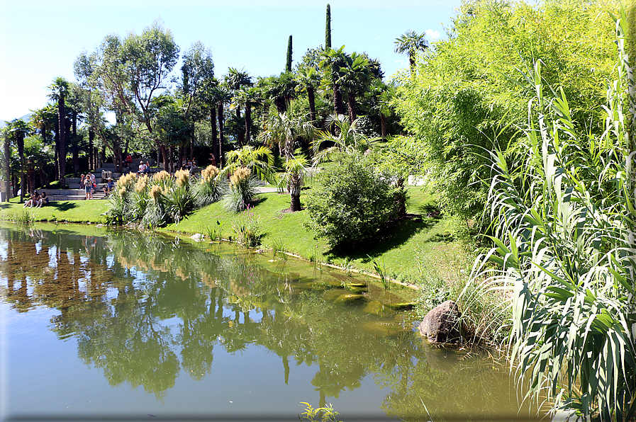 foto Giardini Trauttmansdorff - Giardini acquatici